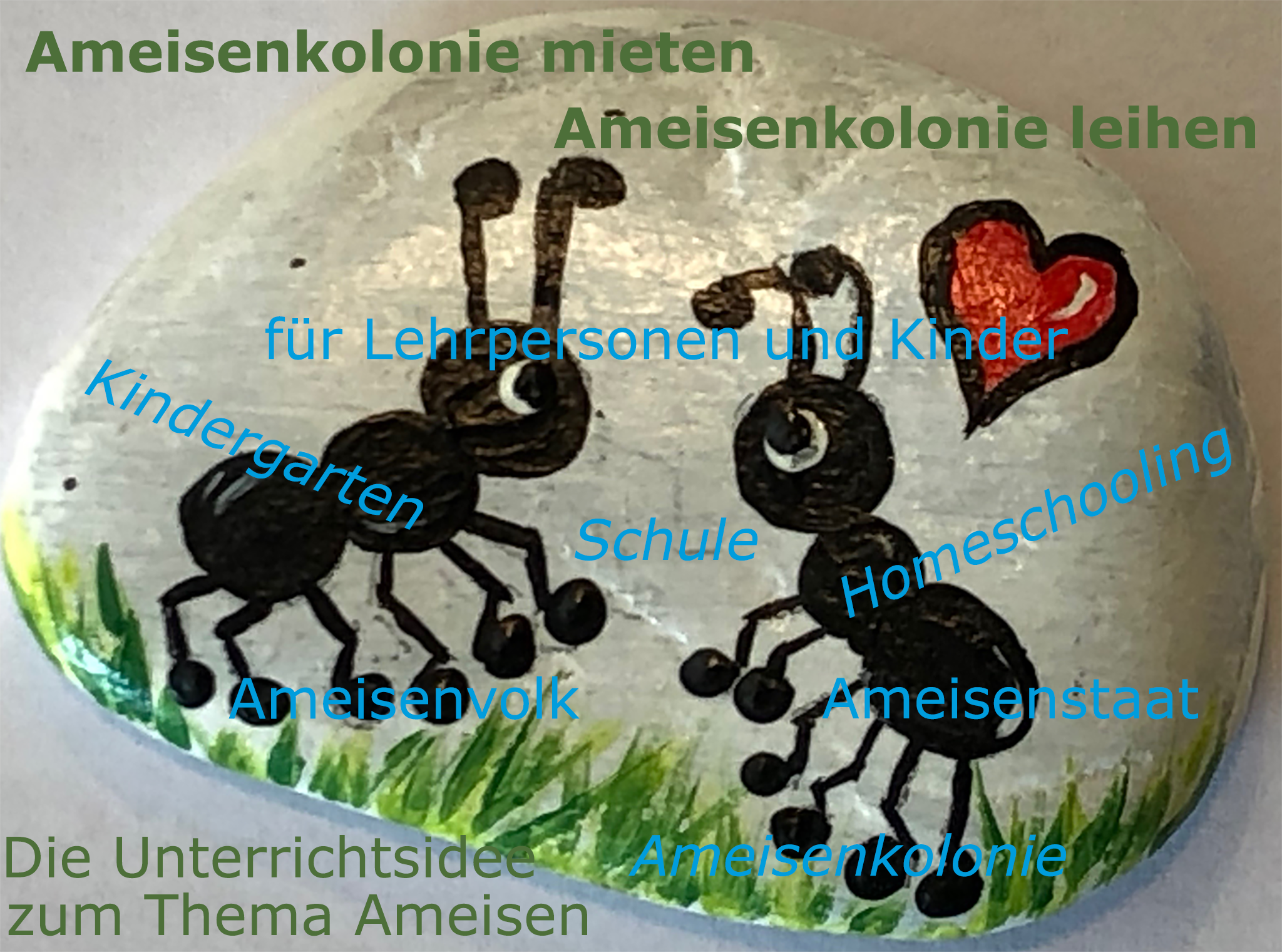 Ihre Ameisenkolonie im Kindergarten / Ihre Ameisenkolonie in der Schule
